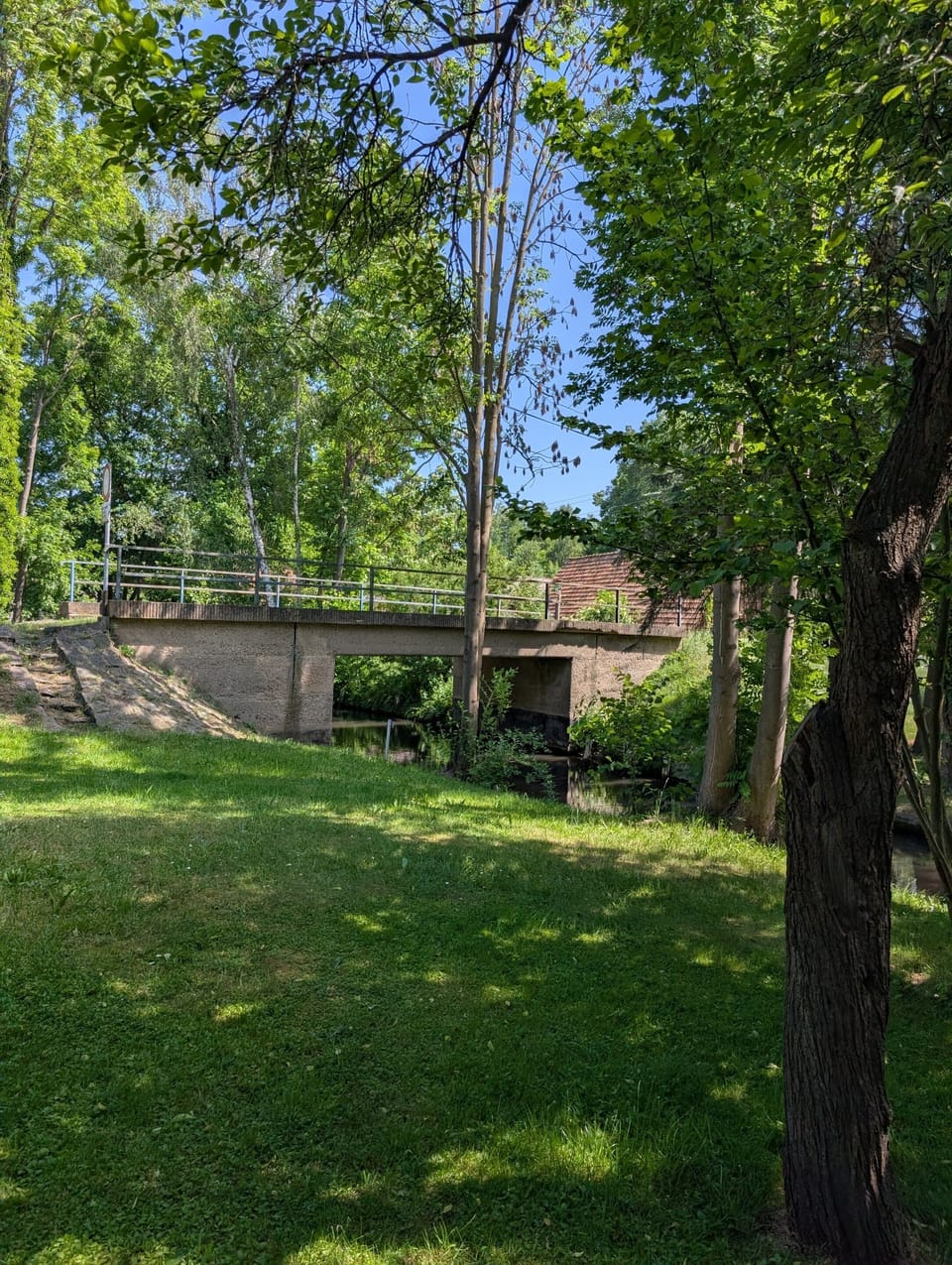Shady meadow at the Old Leiper Village School