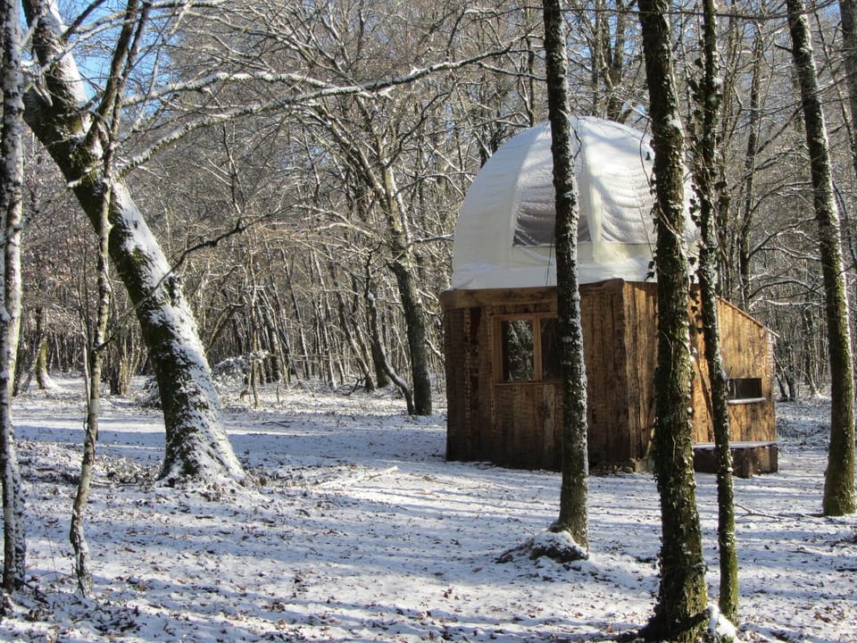 Bulle perchée sous la neige