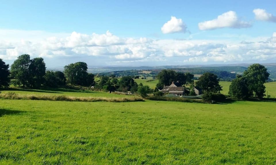 Take a stroll to the top of the hill - a bench awaits.