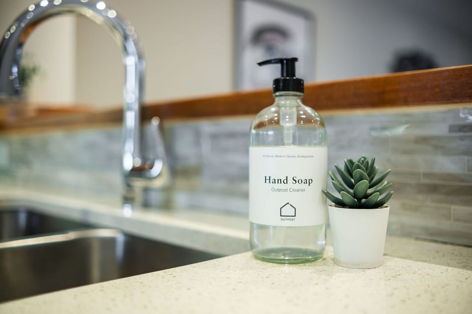 Complimentary hand and dish soap
