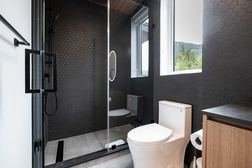 Guest bathroom: Walk-in shower