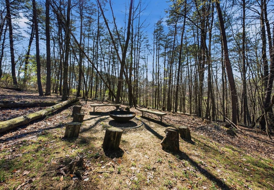 Fire pit area
