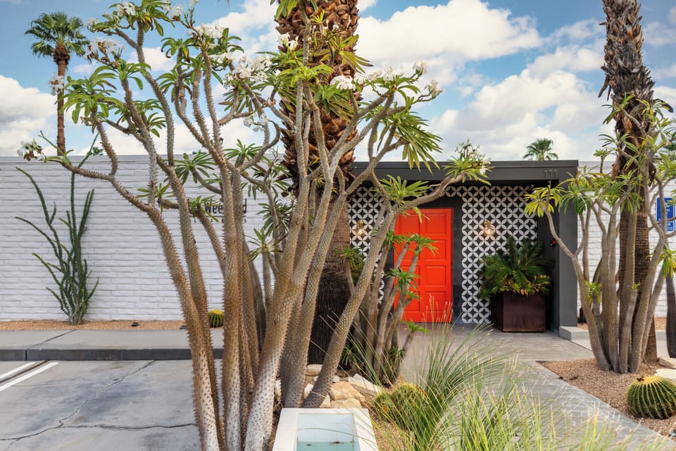 Unique desert flora flanking a striking mid-century patterned facade and pop-of-color entry.