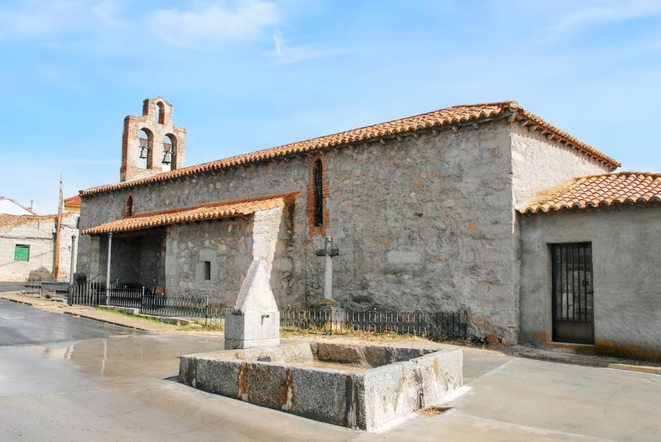 Back view