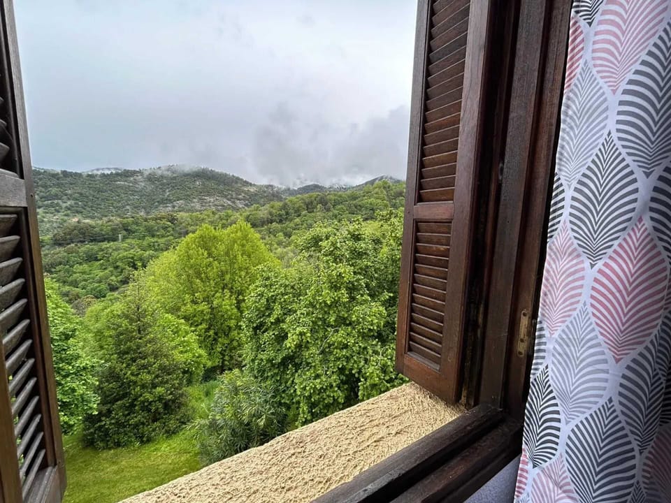 Mountain view