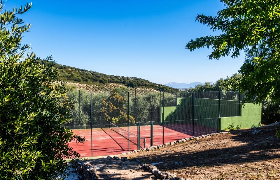 Field (volley/tennis)