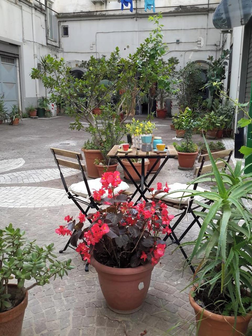 Garden