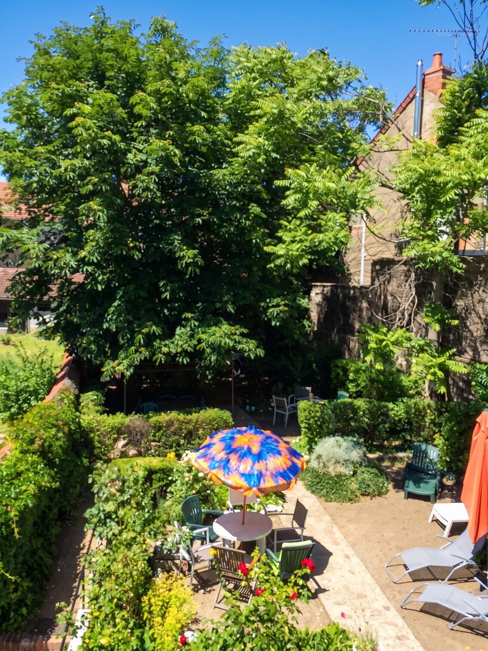 Garden