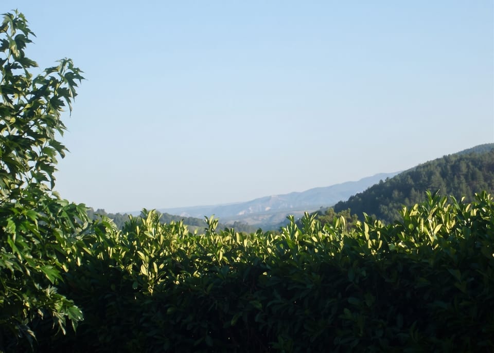 Mountain view