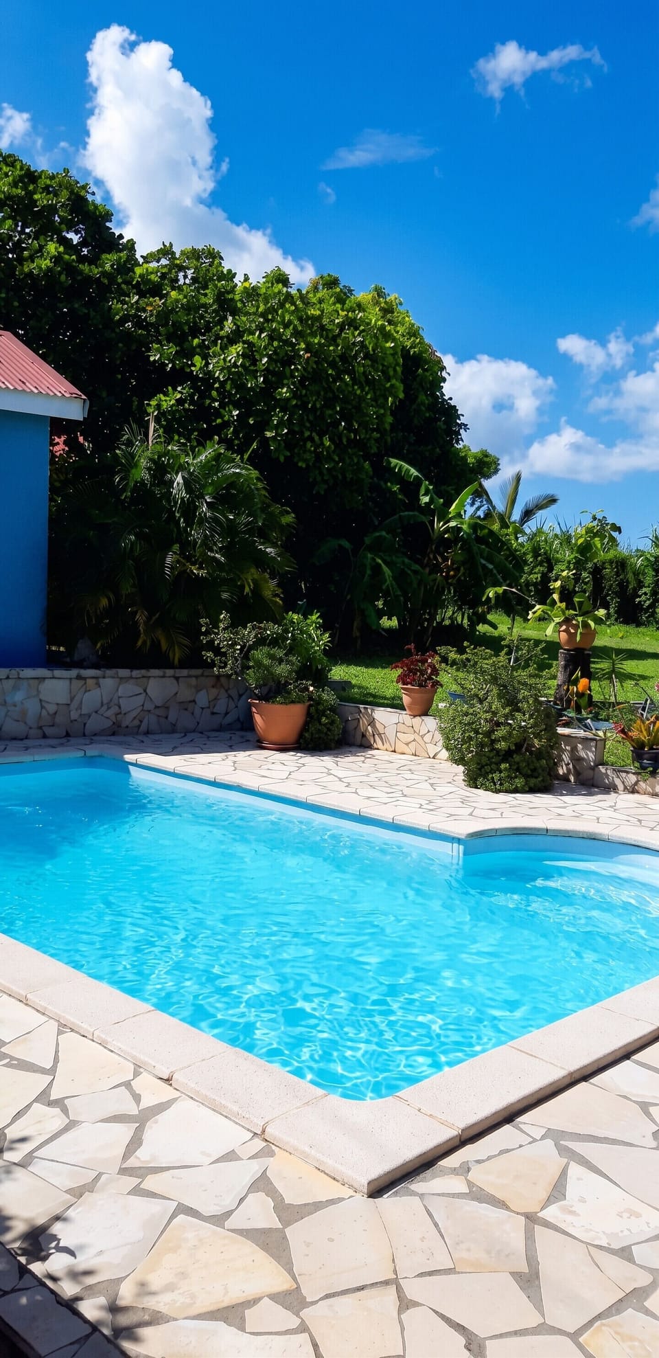 Swimming pool view
