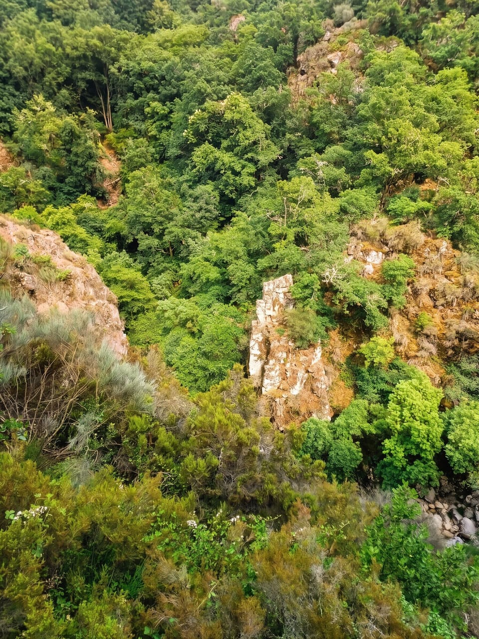 Surroundings