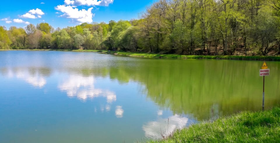 Lake view