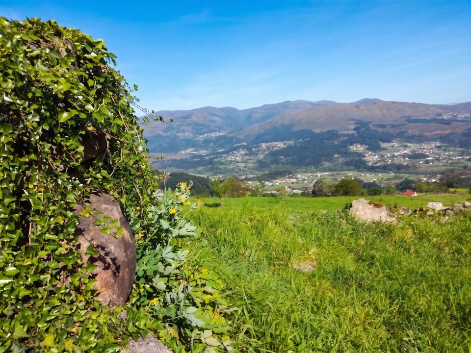 Mountain view