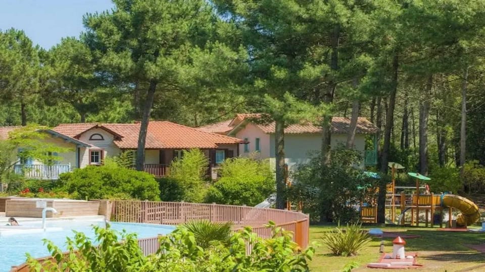Swimming pool view