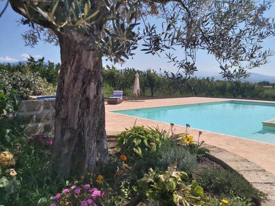 Swimming pool view