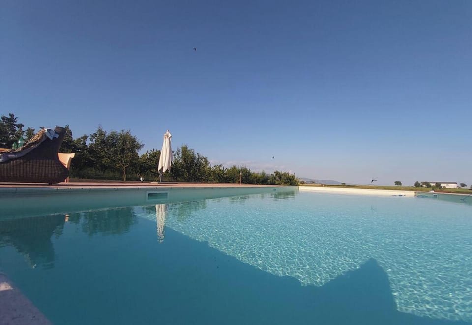 Swimming pool view