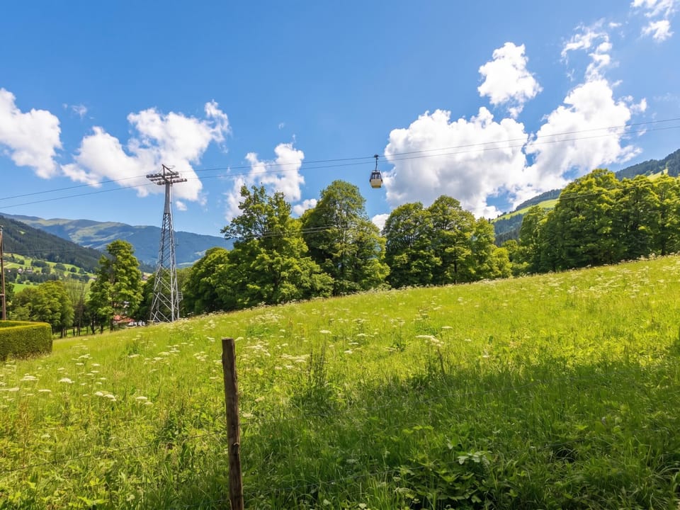 Immediate Surroundings [summer] (<1 km)