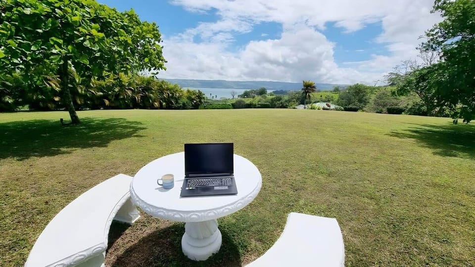 Back yard