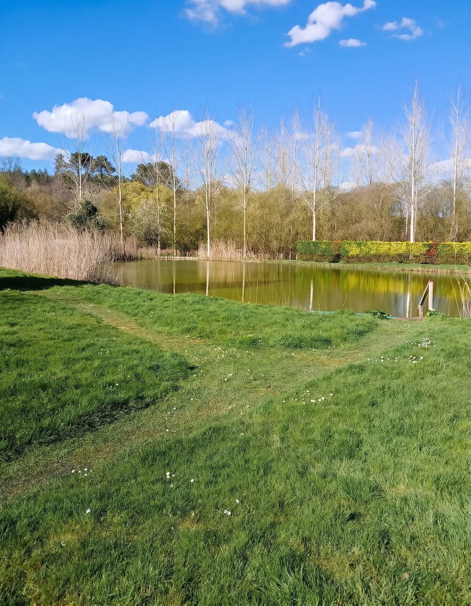 Lake view