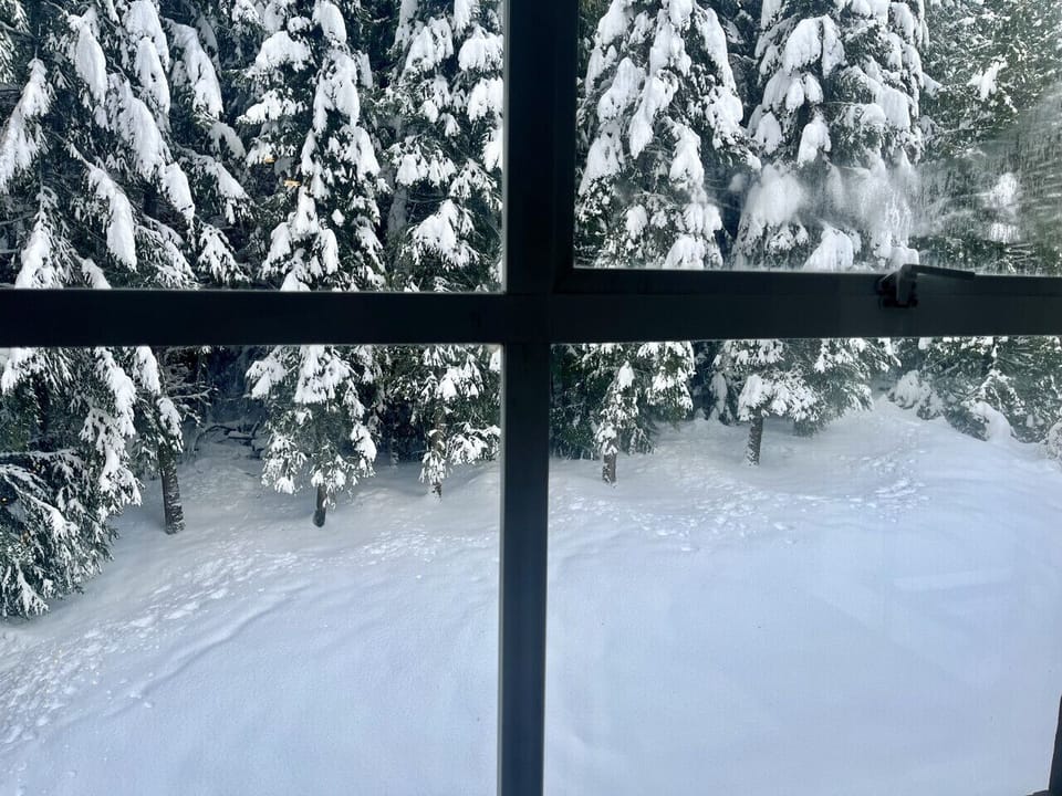 Winter view from the living room.