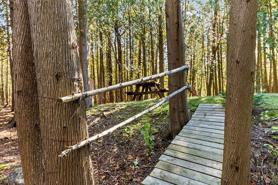 Cross your own private bridge as you explore the property's peaceful walking trails winding through the forest.