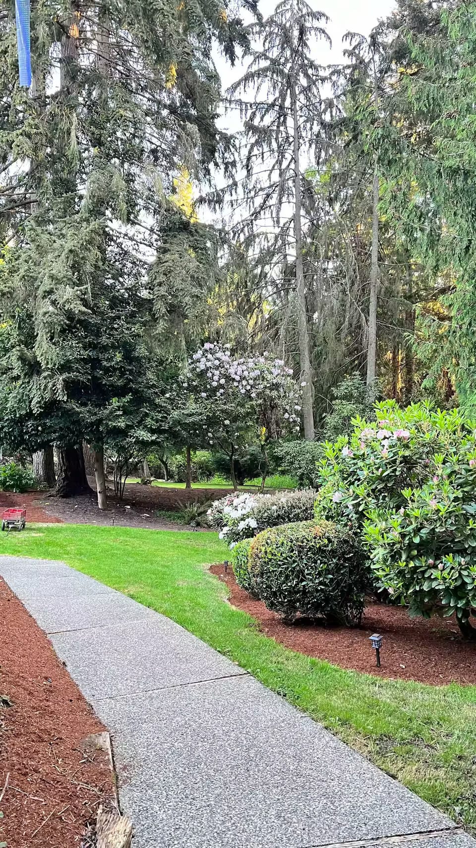 Property grounds