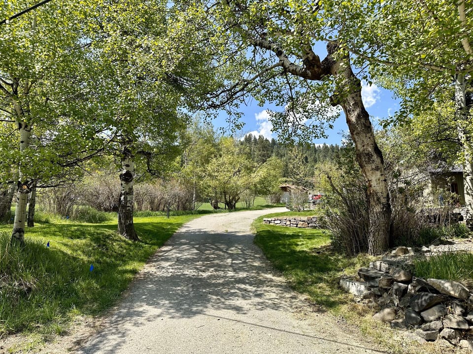 This is your tree-lined asphalt drive leading to the concrete driveway where you will park in front of the detached garage.