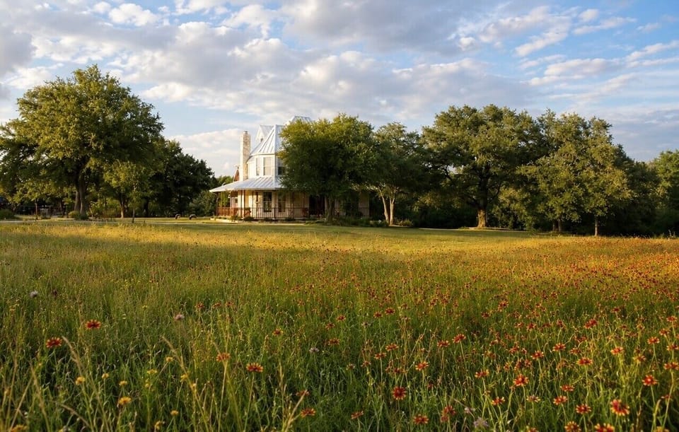Fields of wildflowers and grand live oak trees throughout property