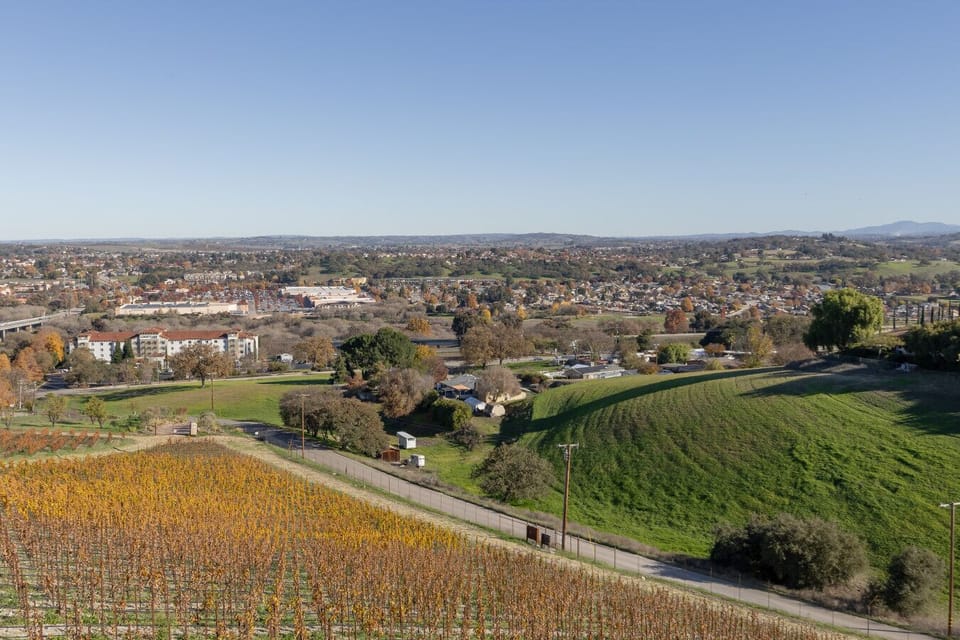 Peaceful vineyard views right outside your door.