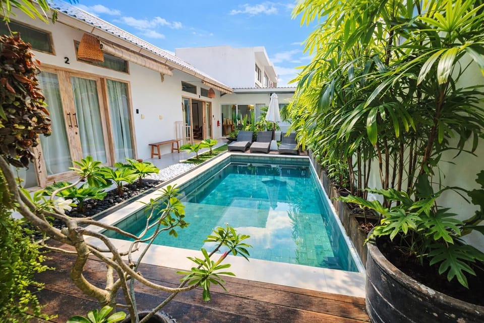 Swimming pool and garden area