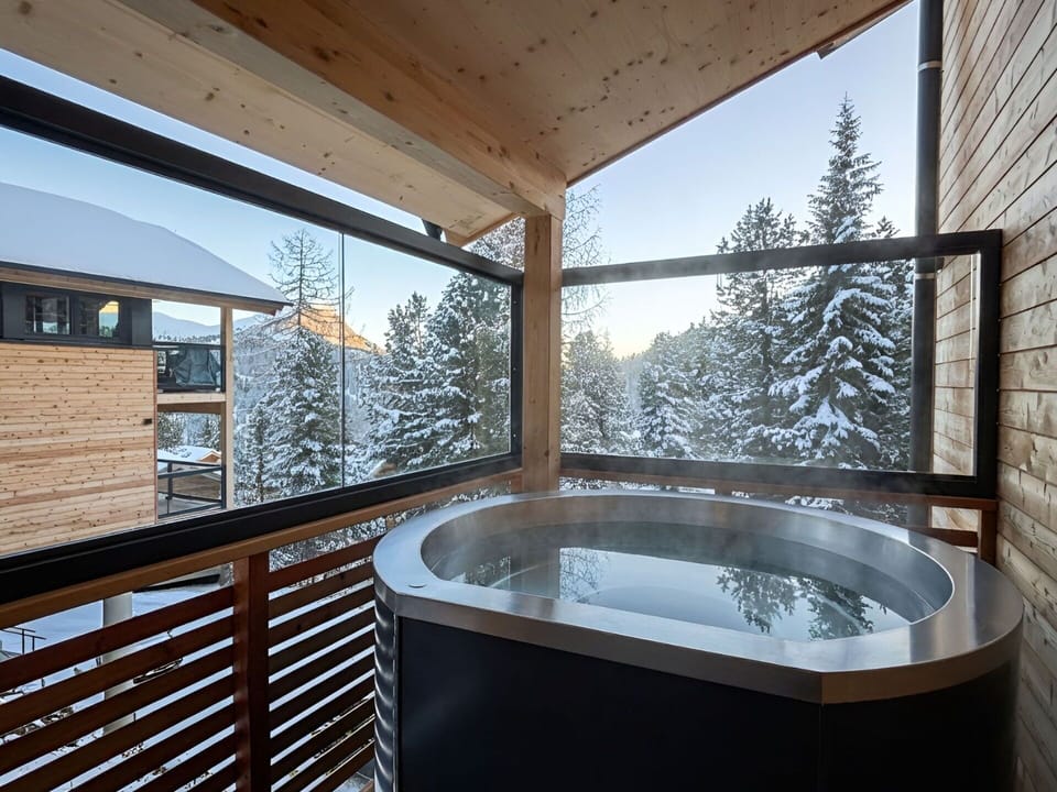 Winter, Log Cabin, Daylighting, Larch