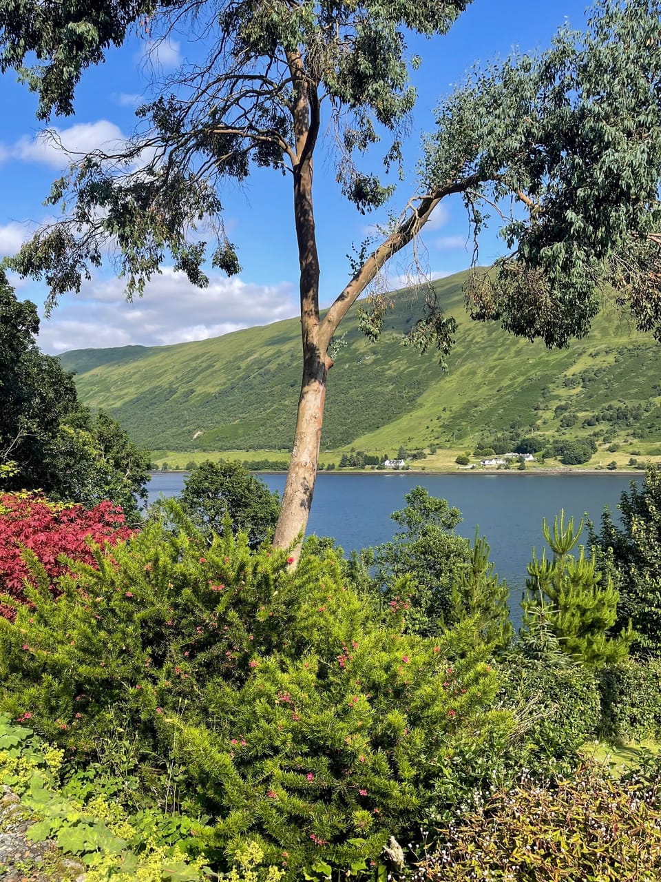 Spectacular loch views