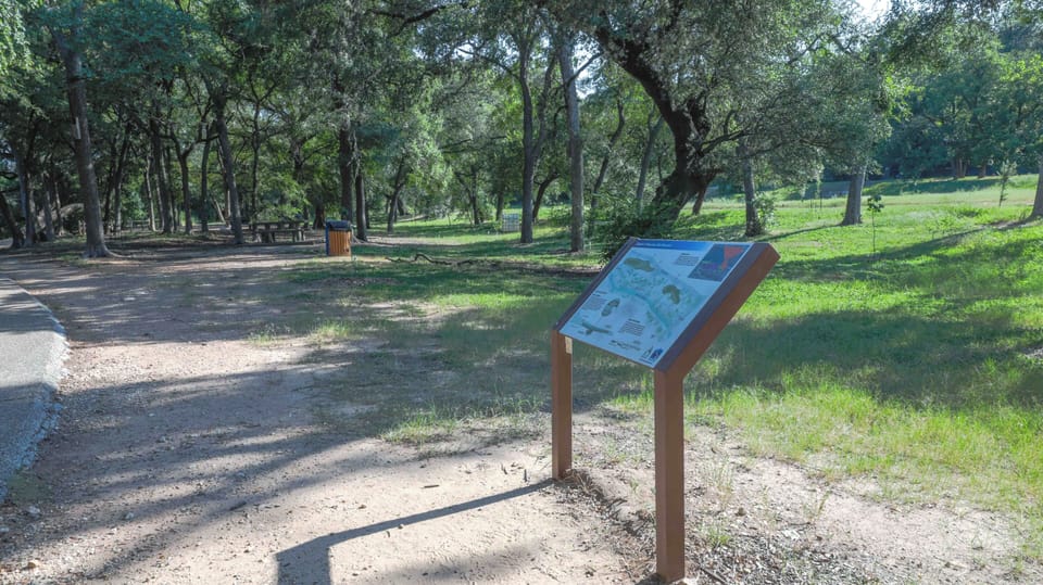 Peaceful tree-lined park path with picnic areas and open green space