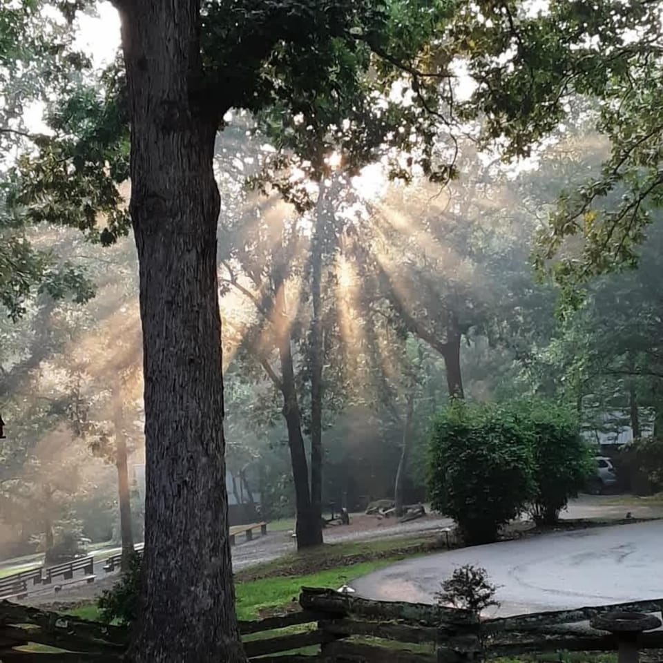 The Angels are calling!