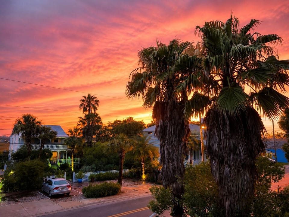 Stunning tropical sunset views over a palm-lined neighborhood and Marsh Views.