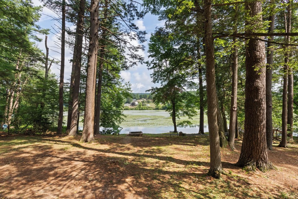 Peaceful wooded lakeside setting with serene water views