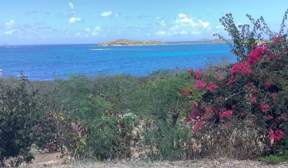 Caribbean Sea and foliage view from property
