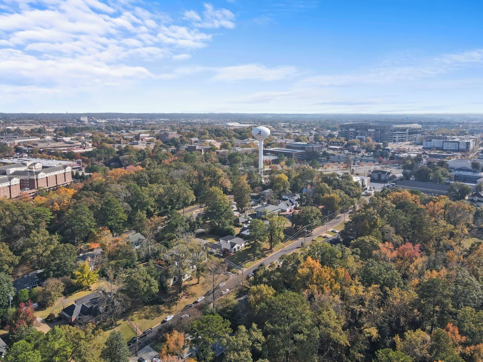 Scenic aerial view of a tree-lined neighborhood near shops and downtown