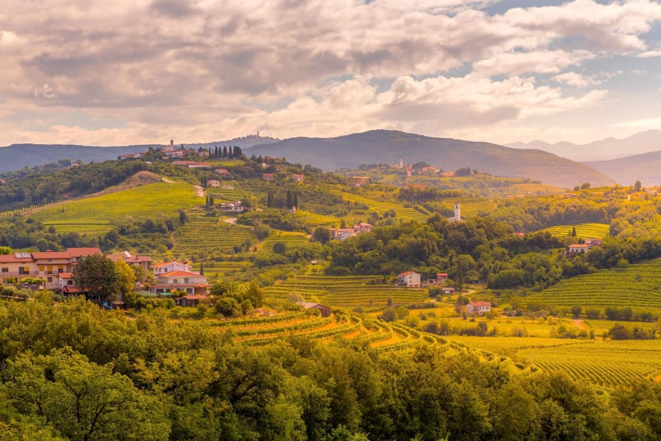 Goriška Brda region