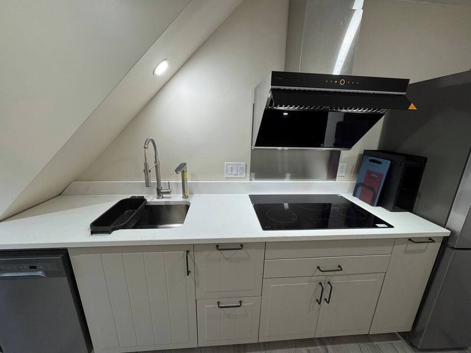 Full kitchen equipped with dish washer, a water filtration system with instant hot water and a induction stove with hood.