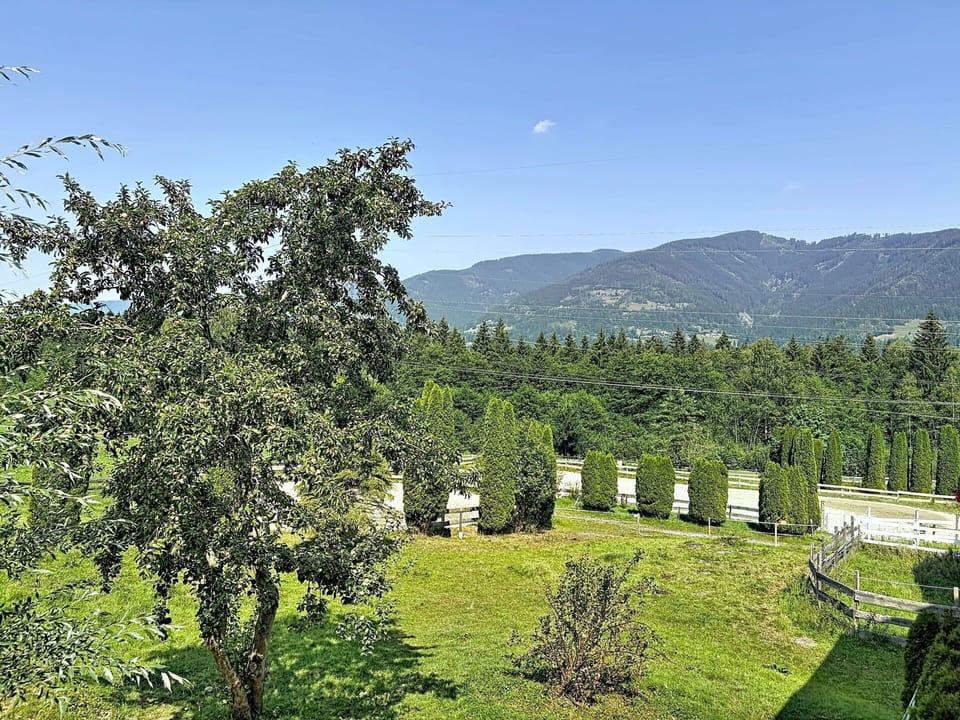 Natural Environment, Shrub, Highland, Hill Station, Garden, Mountain Range, Valley, Plantation, Pasture, Evergreen