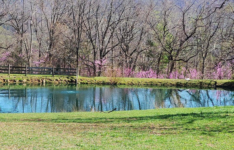 Spring colors