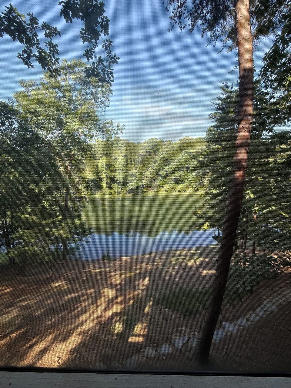 View from property