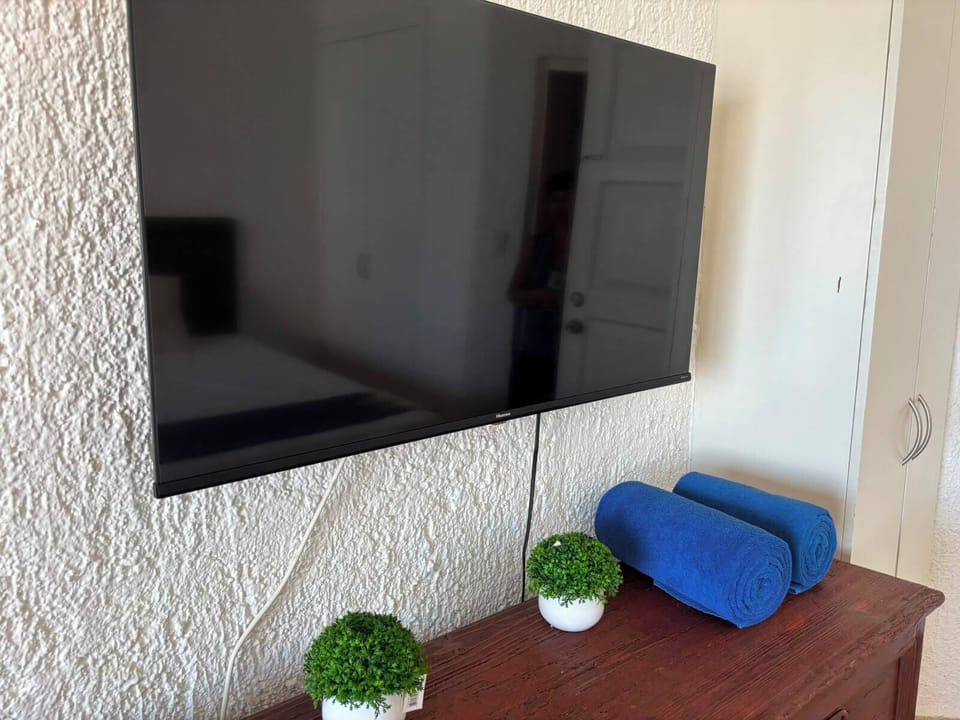 Television