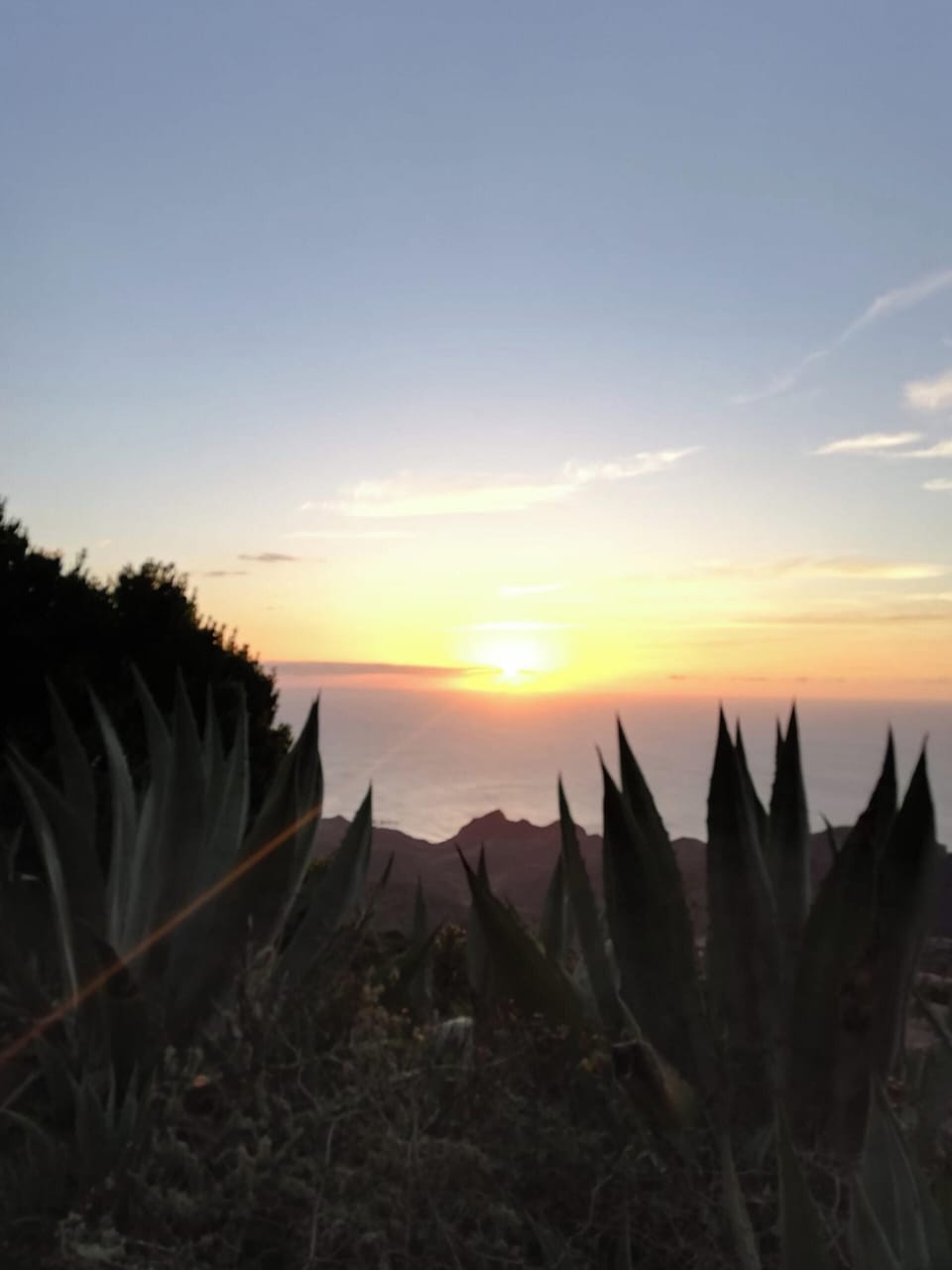 Areal view
