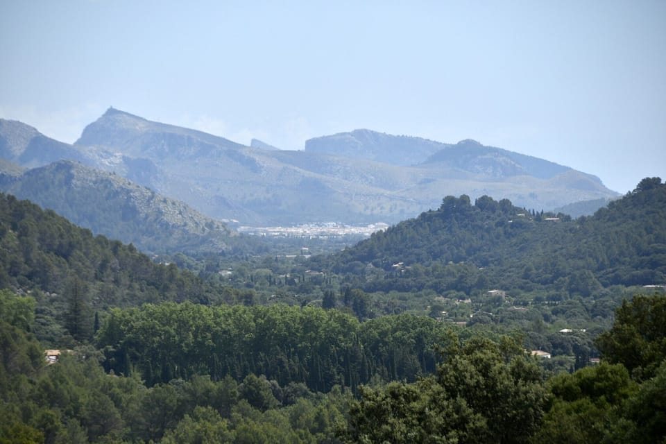Immediate Surroundings [summer] (<1 km)