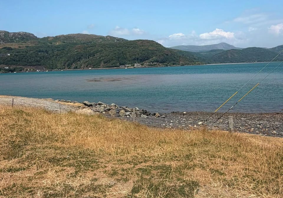 Image 13