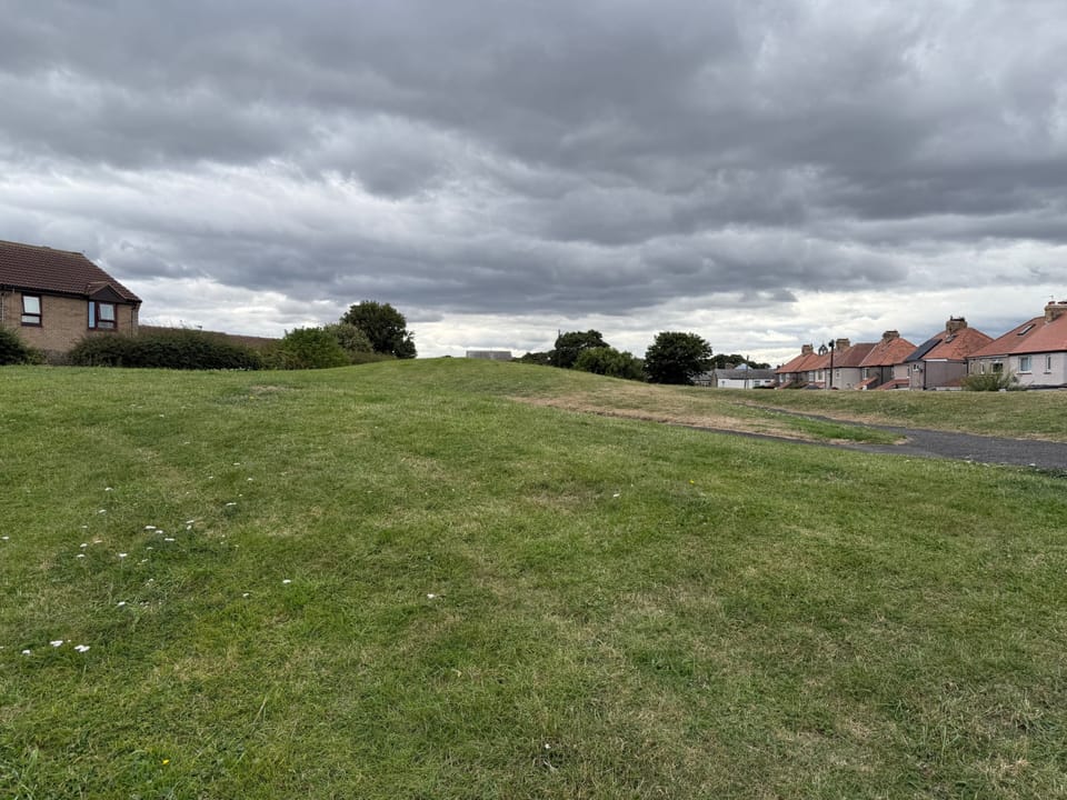 Image 14