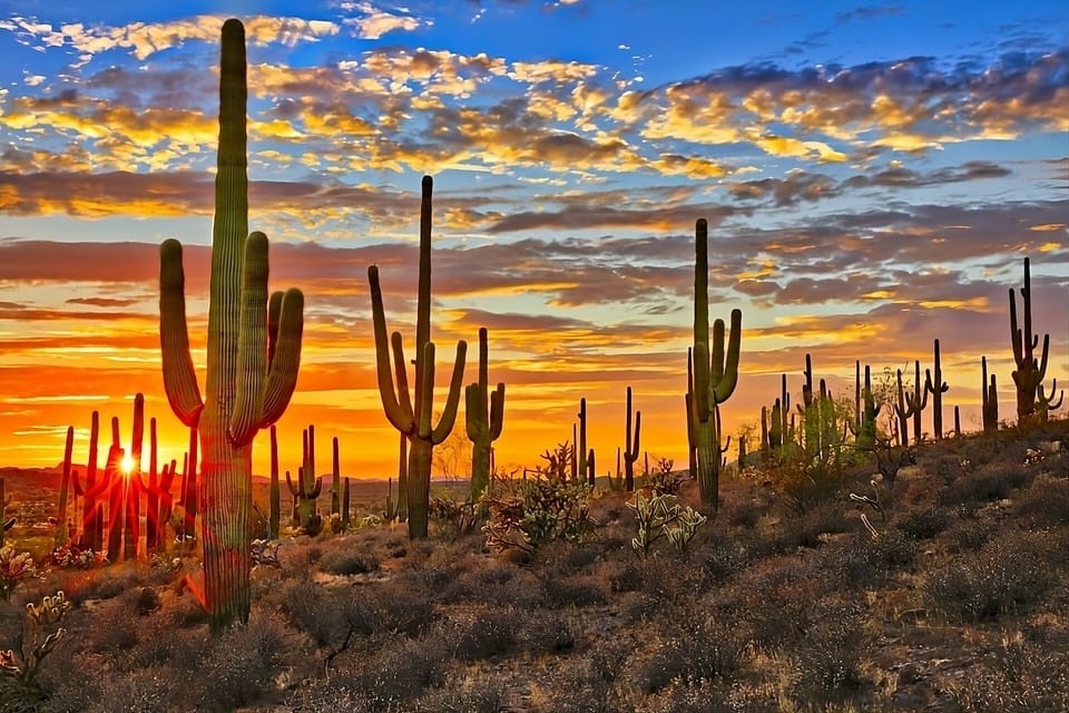 Watch the sky ignite as the desert horizon glows at dusk.