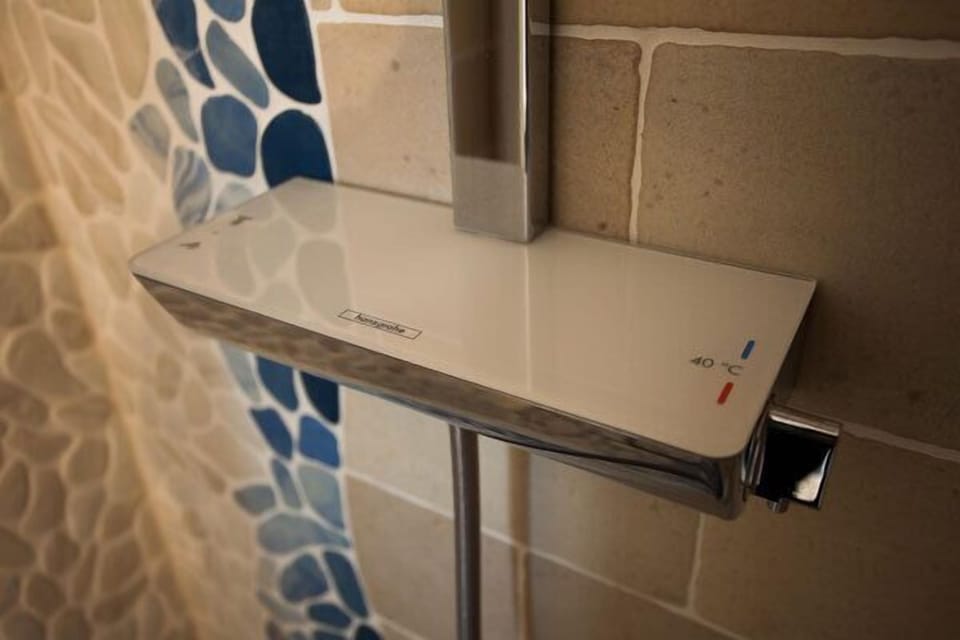Hand-held showerhead